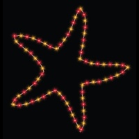 6' Starfish